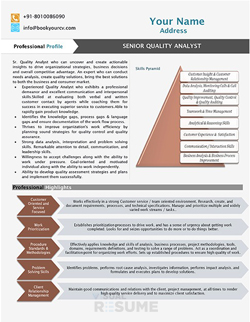 Quality Analyst