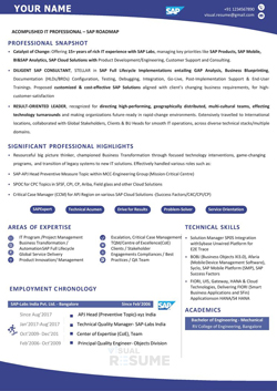SAP Consultant